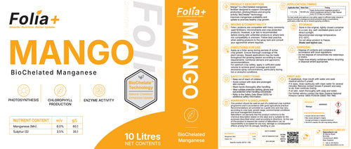 Mango