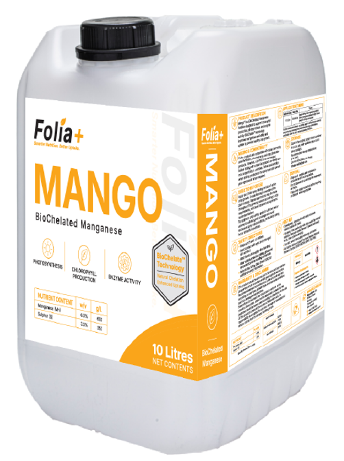 Mango
