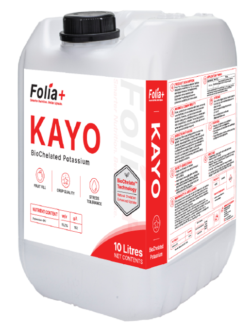 KAYO