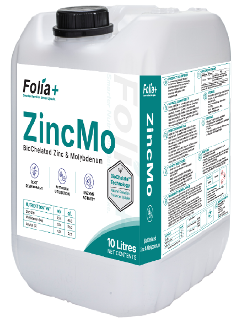 ZincMo